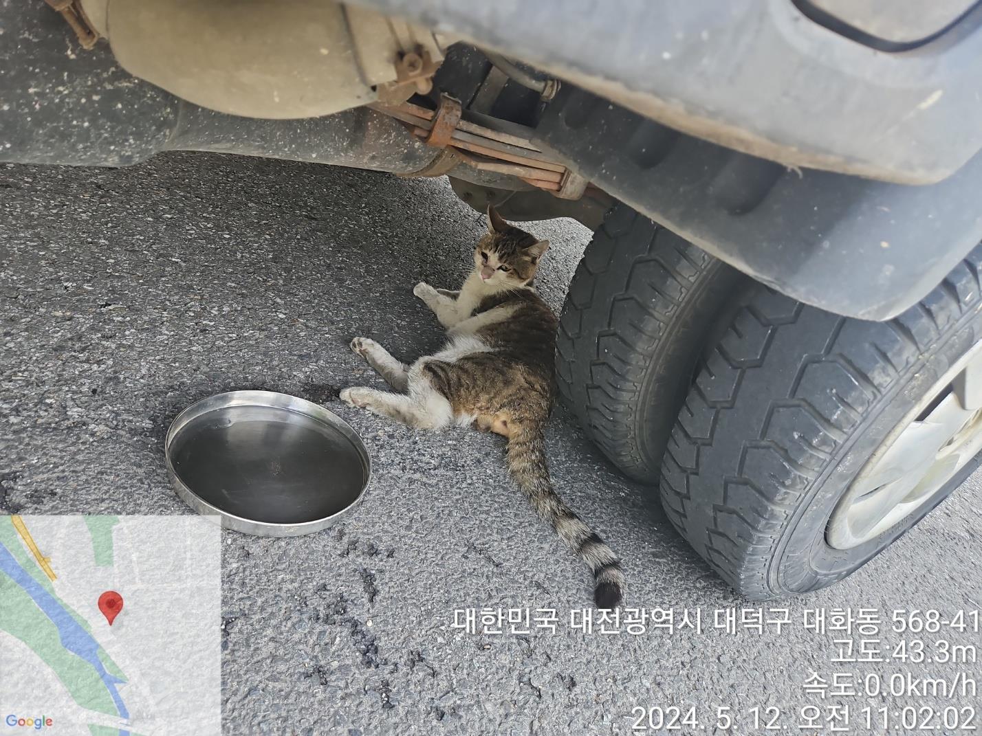 대전동물보호센터_430368202400202